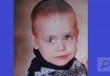 3-летний Егор Наволоцикий найден живым, но есть неприятные подробности...